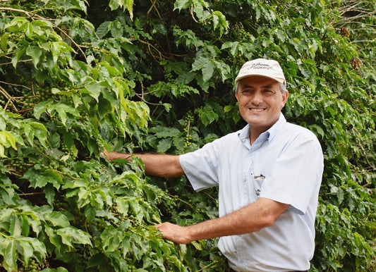 Brazilië Fazenda Passeio - Natural