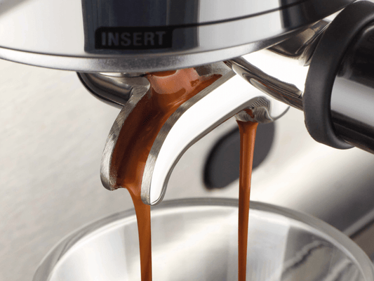 Sage the Group Head Cleaner x12