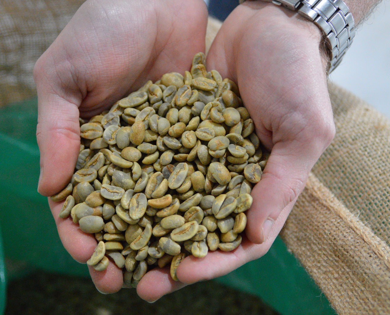 Handen met groene bonen uit Nicaragua