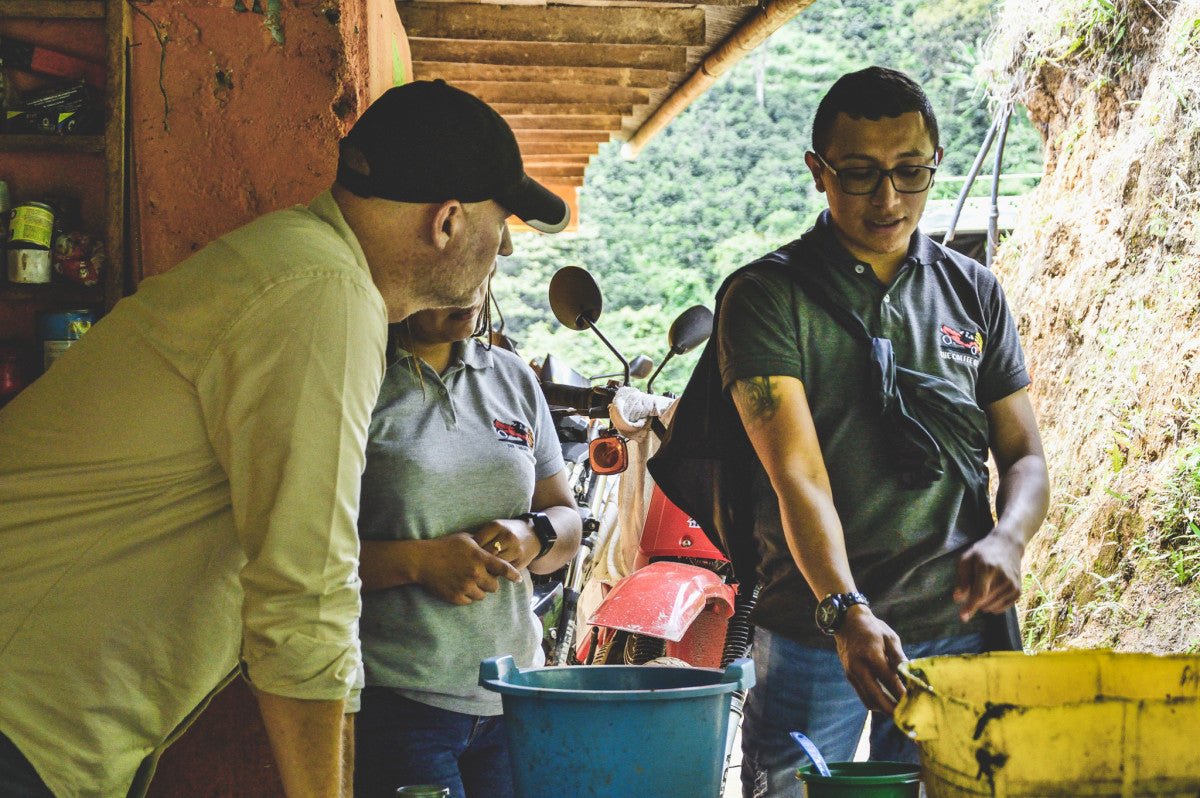 Colombia Santa Maria - DECAF