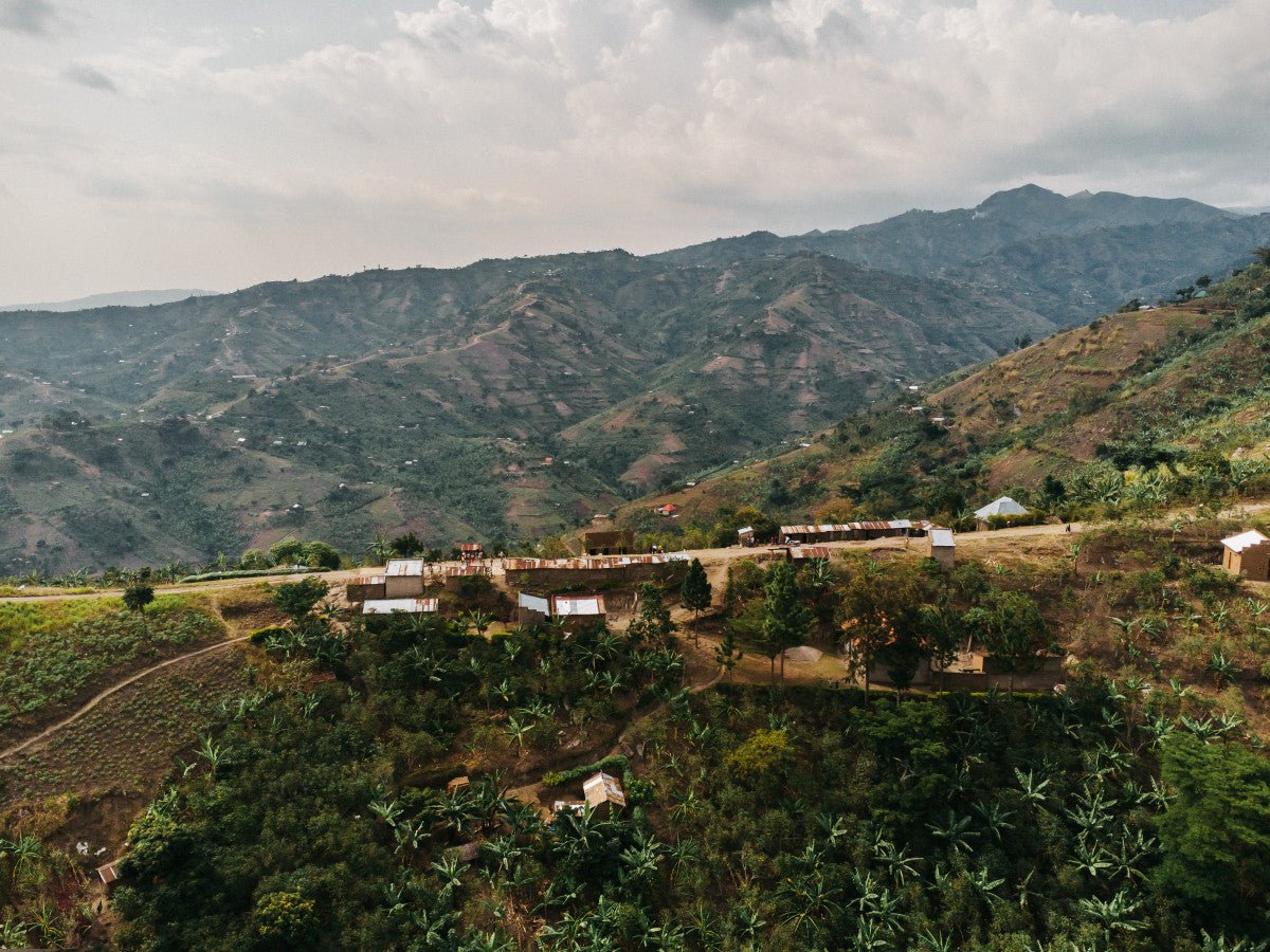 Uganda Kuosha Crisp - Washed