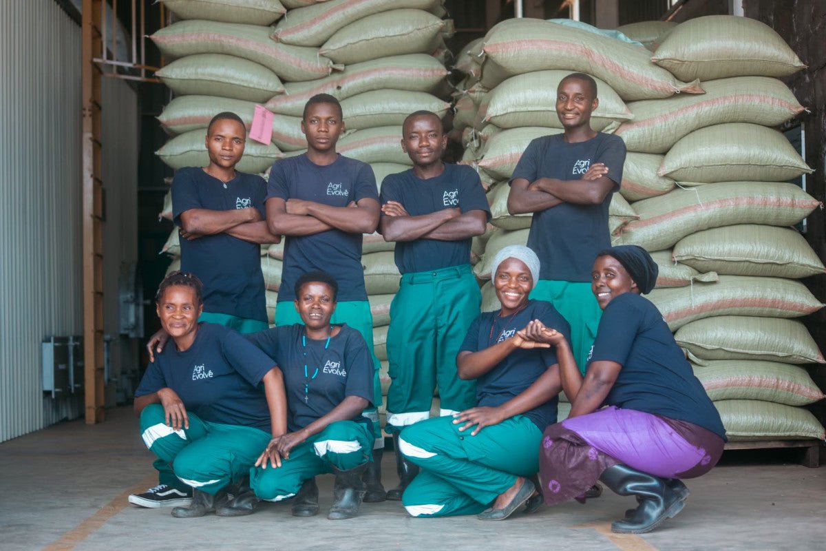 Uganda Kuosha Crisp - Washed
