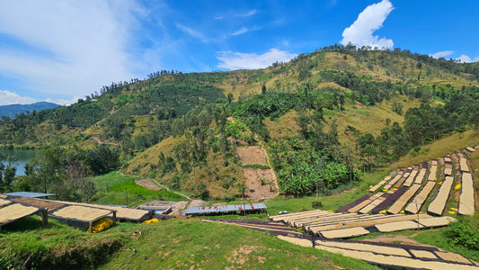 Rwanda Cyesha - Natural