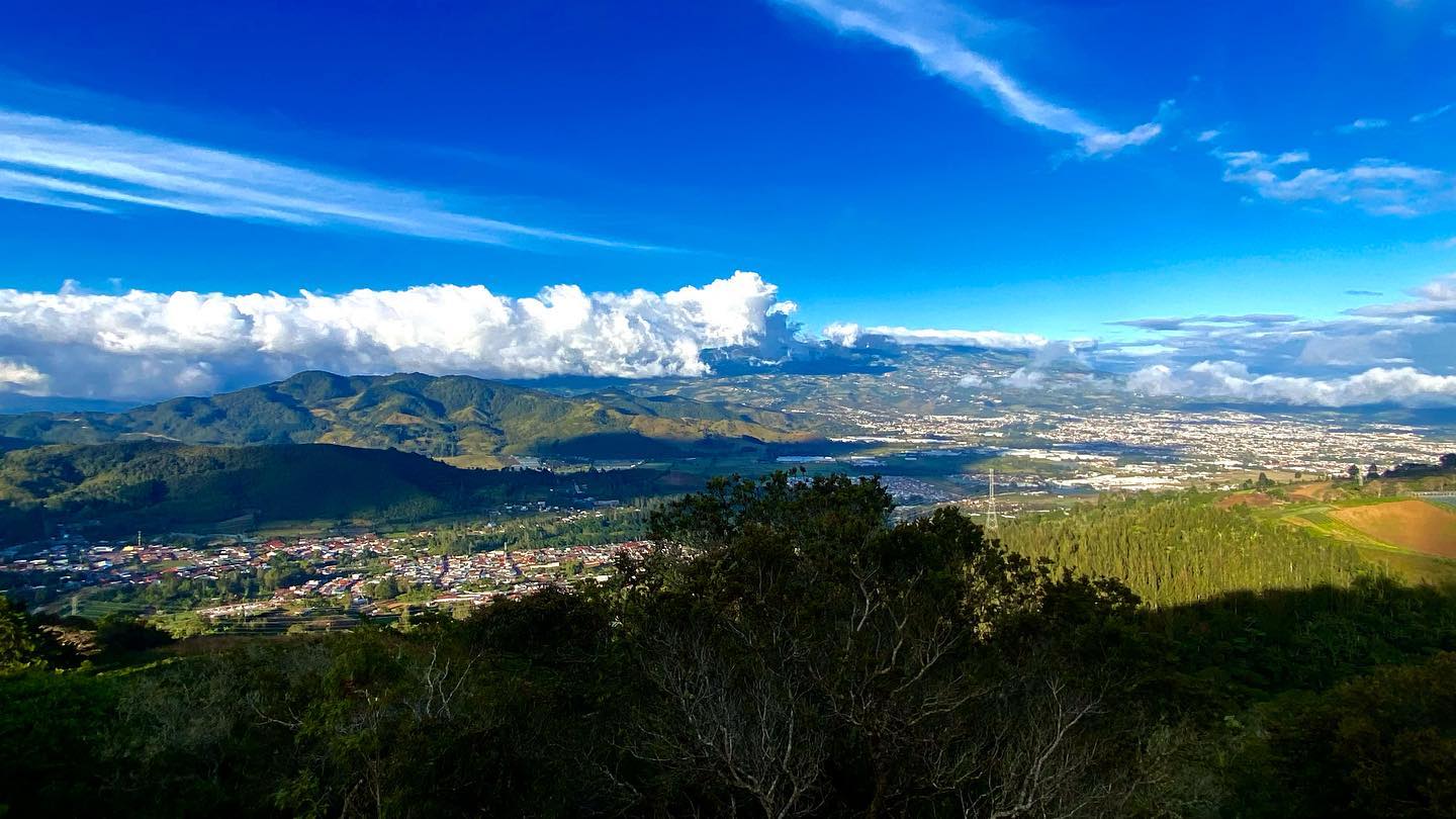 Los Campos koffieboerderij in de bergen van Costa Rica specialty coffee kopen
