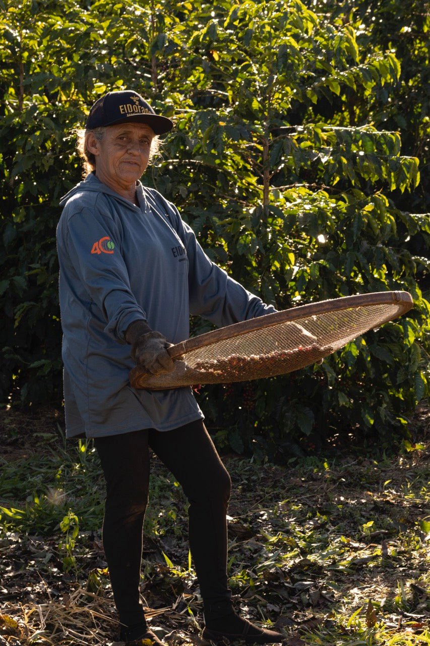 Brazil Acaía - Natural