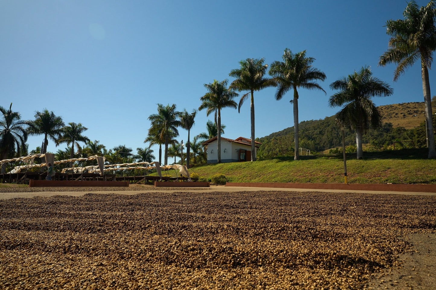 Brazilië Fazenda Passeio - Natural