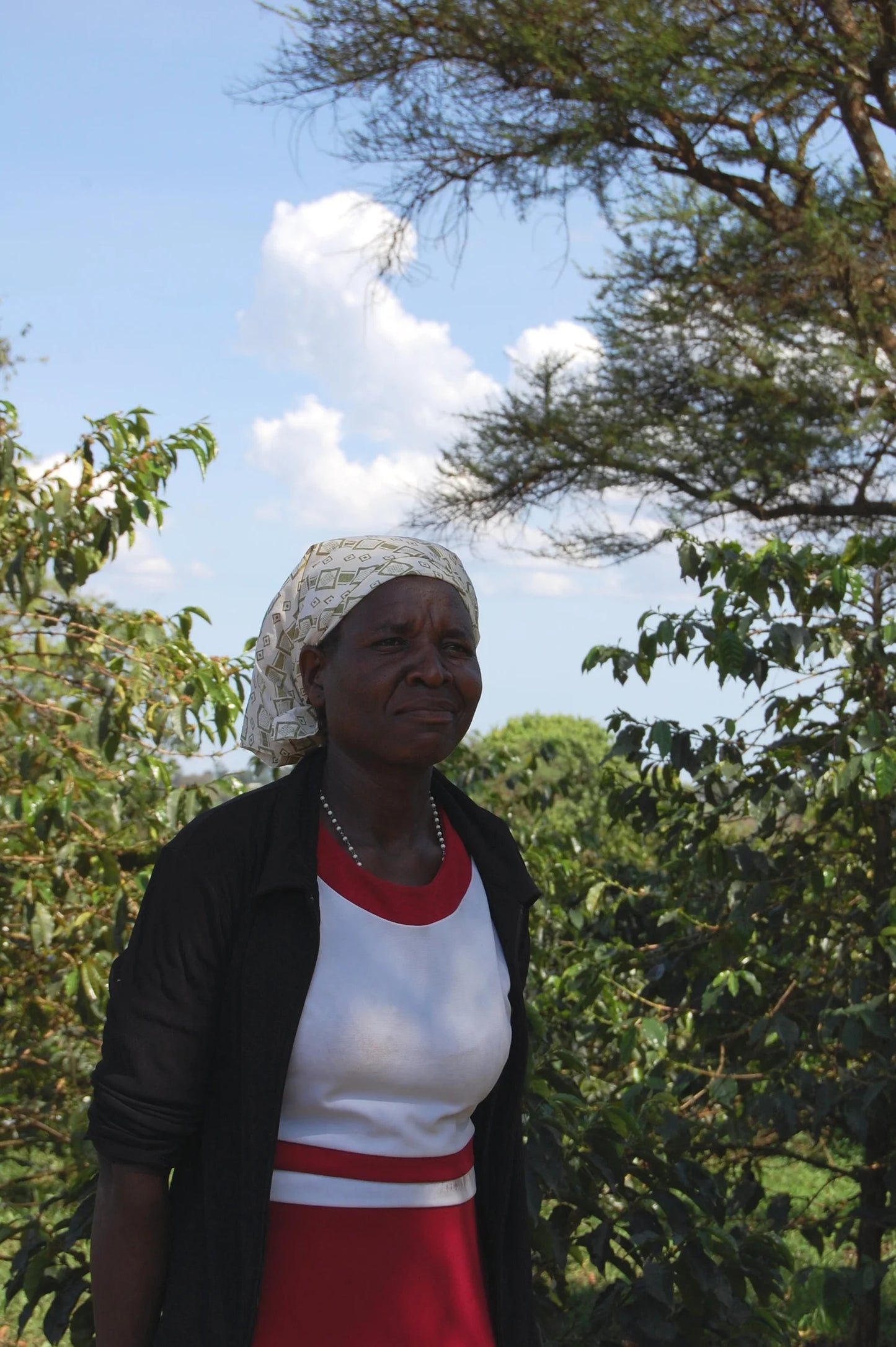 Kenia Tonje Family - Washed