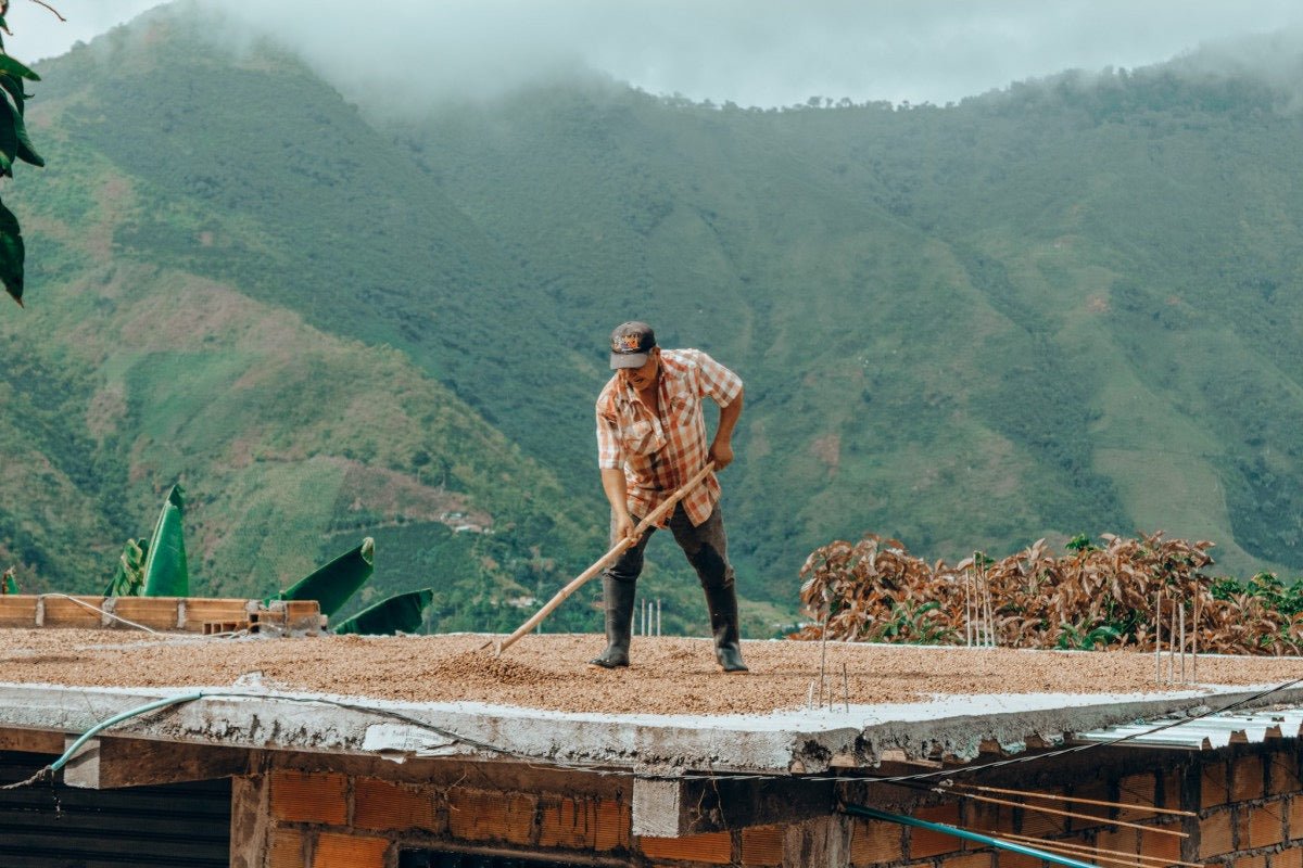 Colombia La Sierrita - Washed