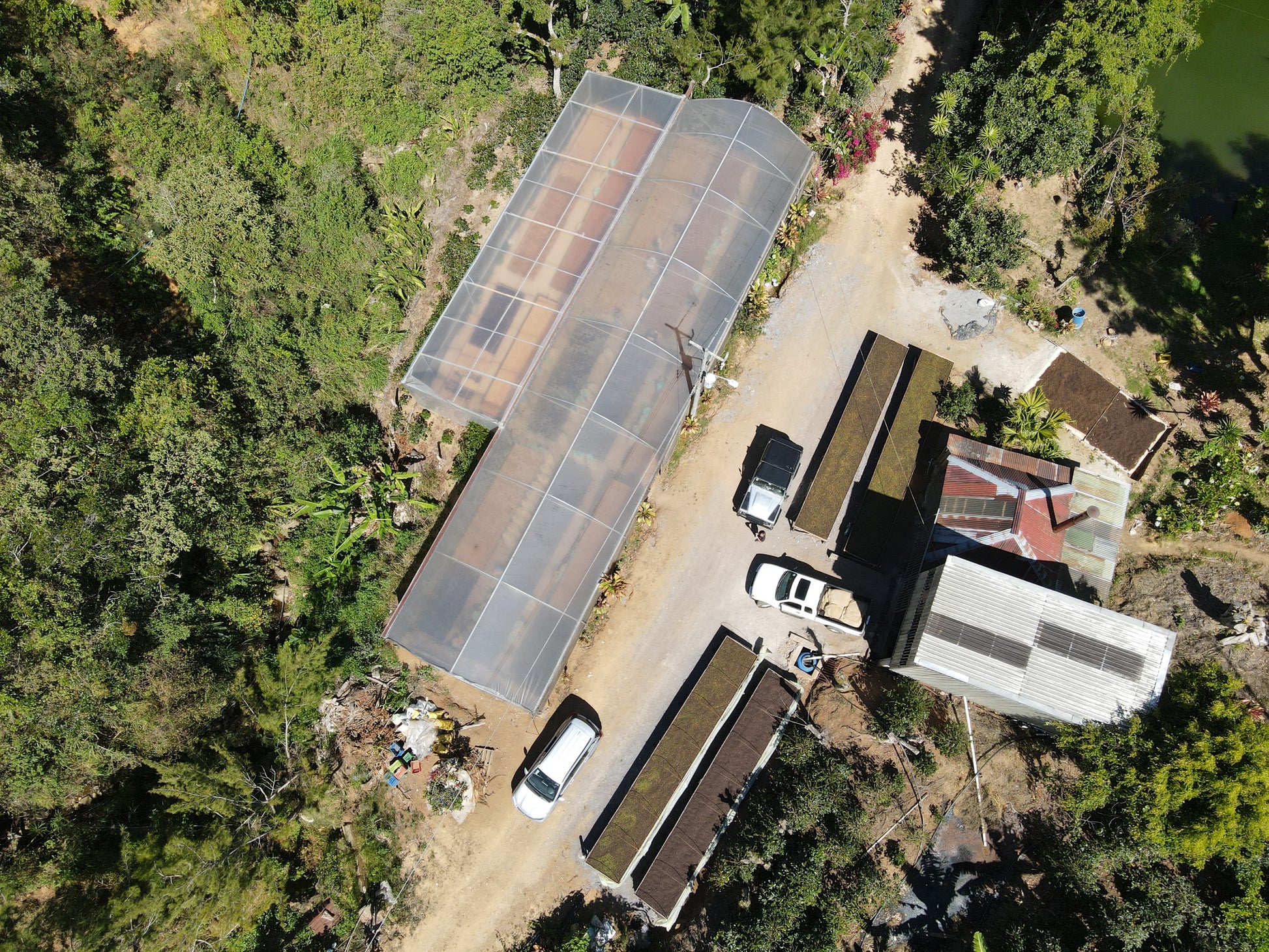 Koffieboerderij Los Campos Costa Rica Don Alexis — specialty coffee rechtstreeks van de bron
