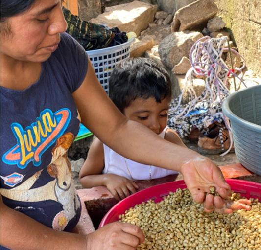 Guatemala Yulchen - Washed