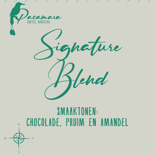 Pacamara Signature Blend