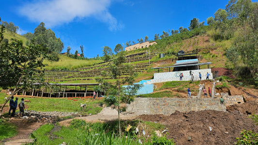Rwanda Cyesha - Natural