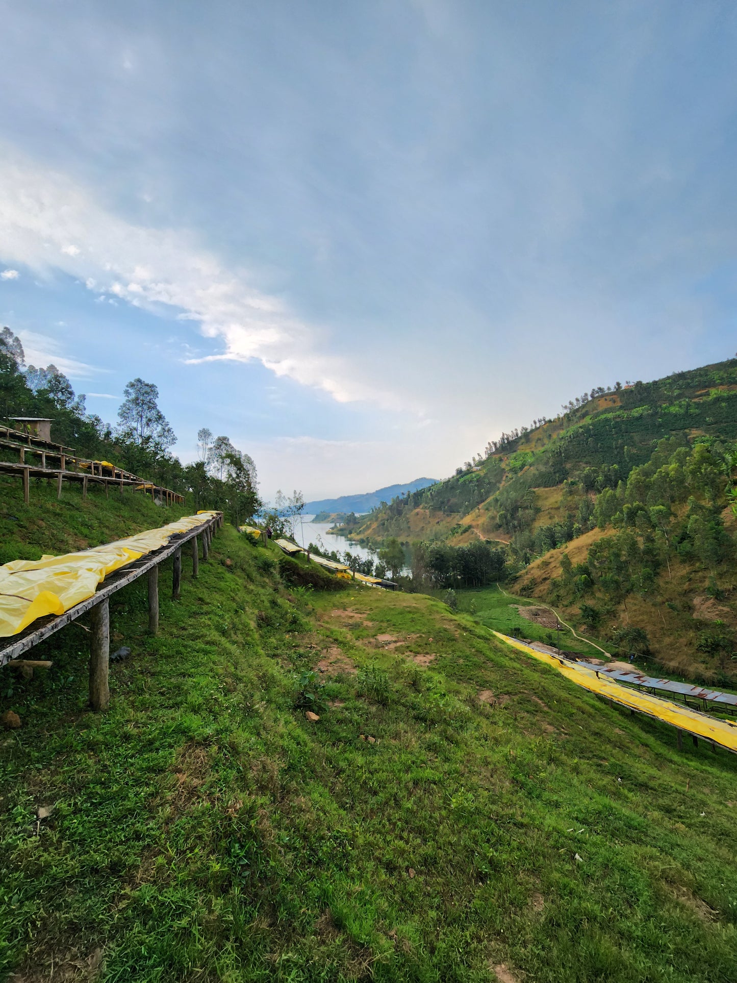 Rwanda Cyesha - Natural