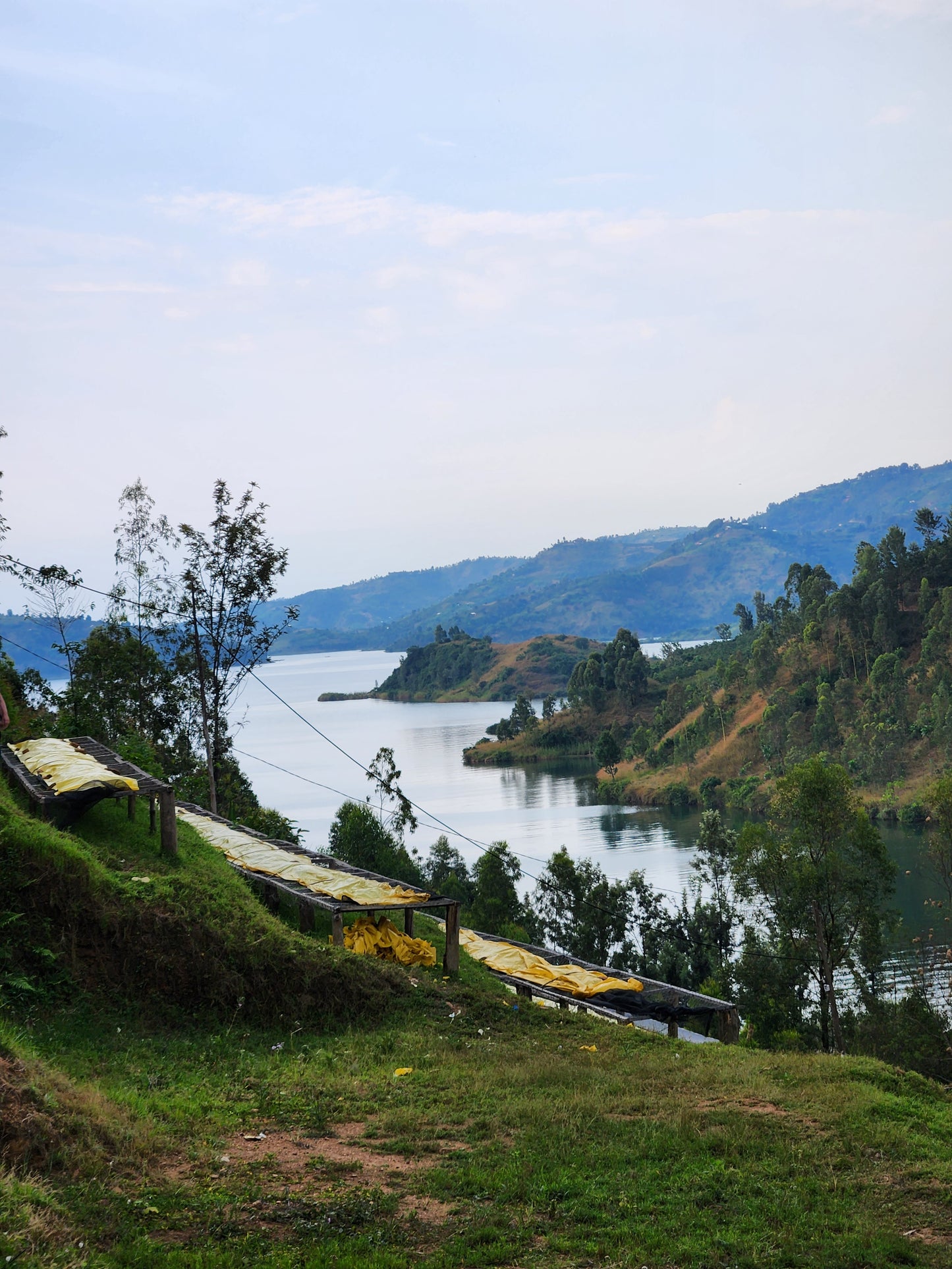 Rwanda Cyesha - Natural