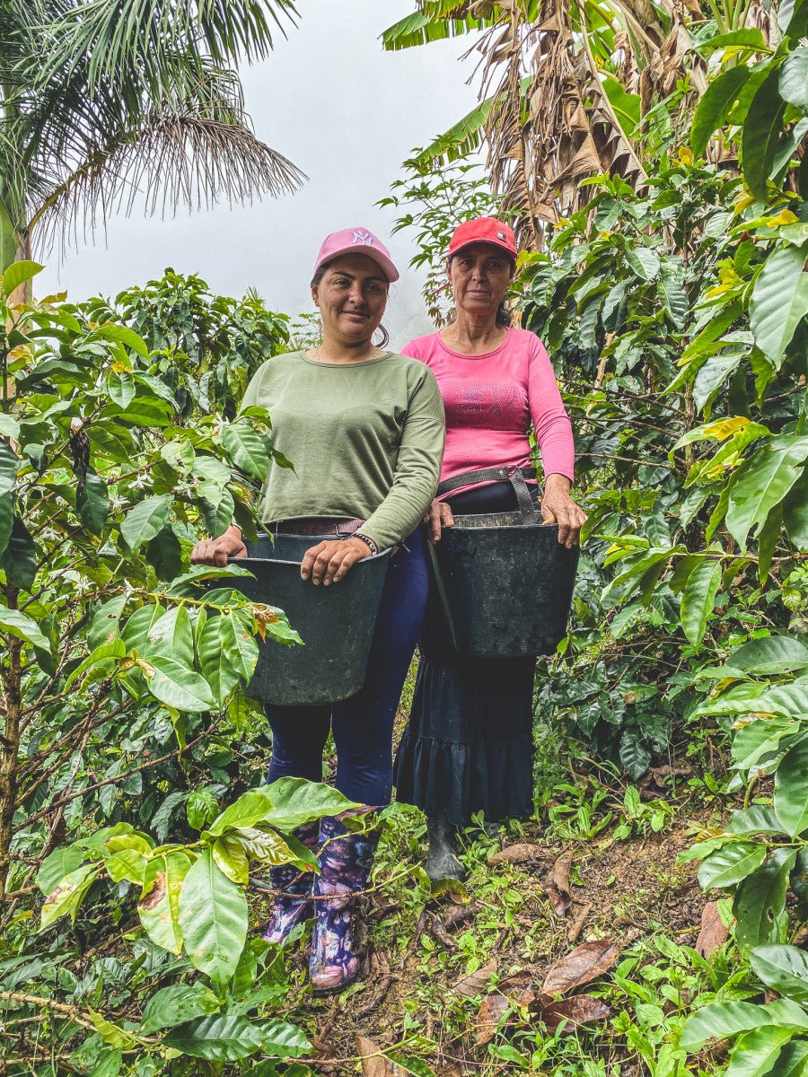Colombia Mama Sierra - Washed
